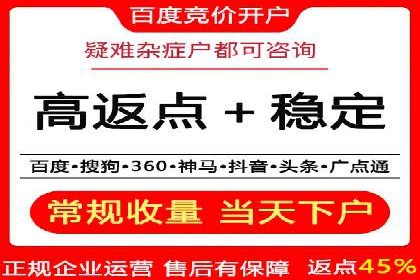 百度竞价赚钱之道：案例分析及技巧